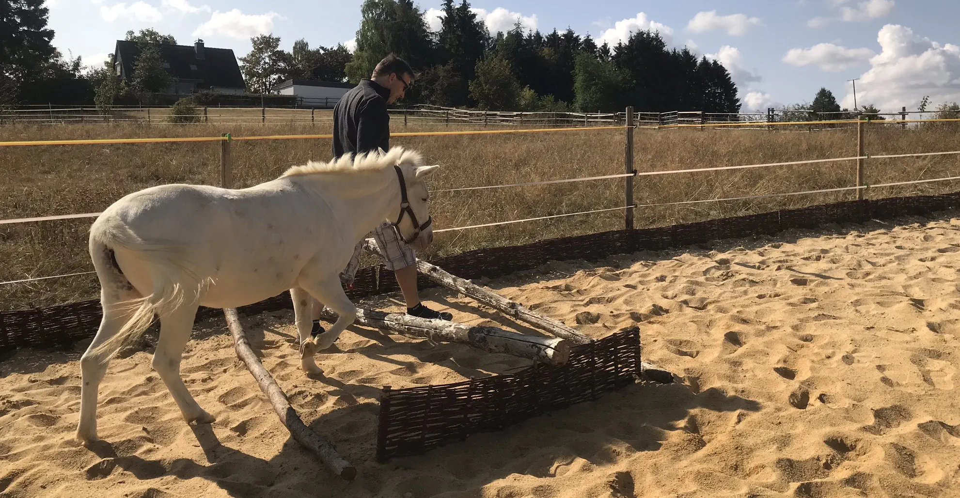 Pferdegestützte Arbeit